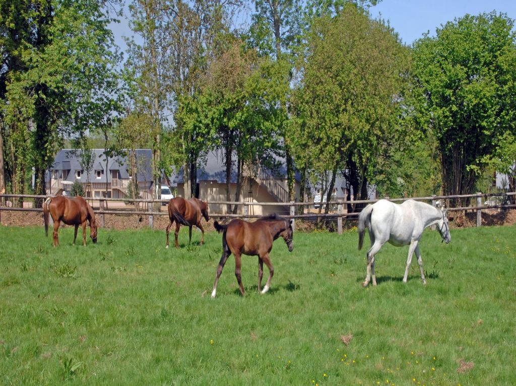 Les Manoirs De Tourgeville Довиль Номер фото